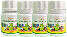 CTA-04-Botola-Sacha-Inchi