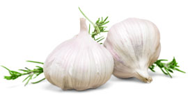 garlic