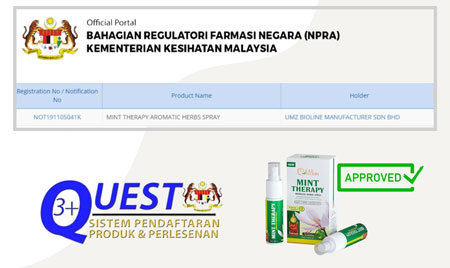 no-kkm-mint-therapy