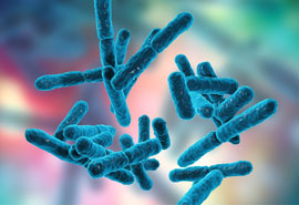 probiotic