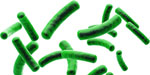 ingredients-01-posbiotic