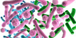 ingredients-03-7-strain-probiotic