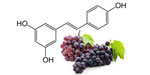 ingredients-05-Resveratol